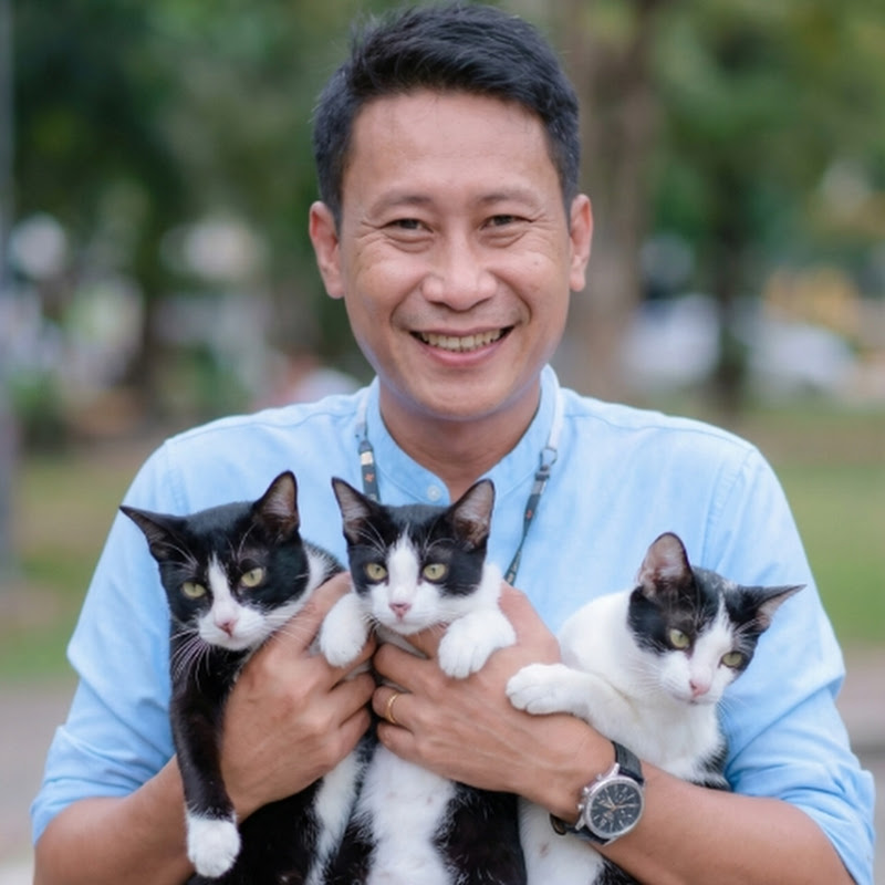 พ่อวี ทาสแมว