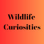 Wildlife Curiosities logo