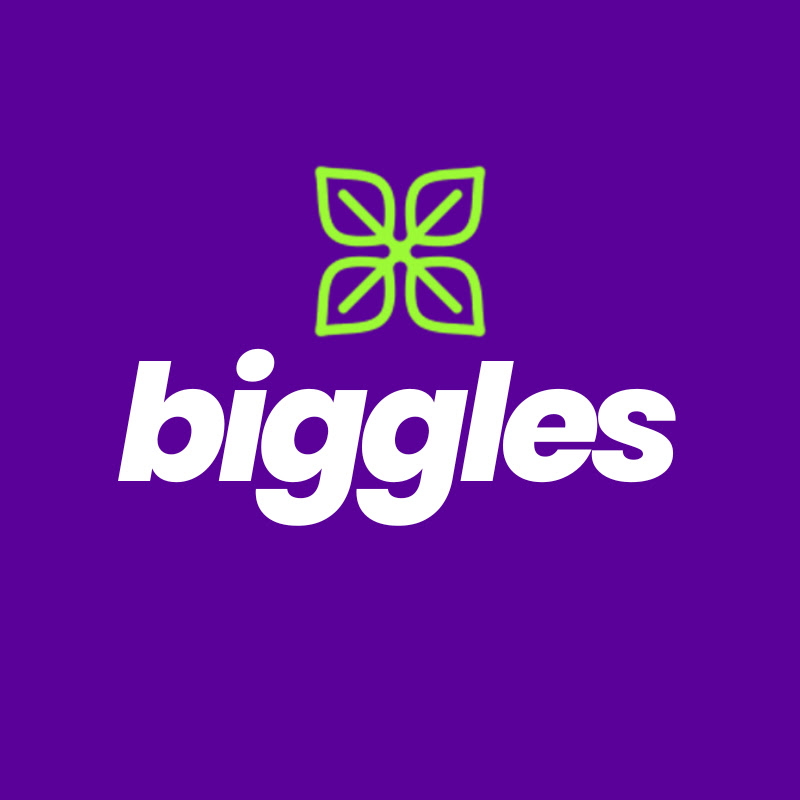 Biggles Tech