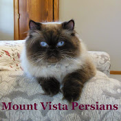 Mount Vista Persians of Arkansas