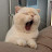 @jimin701