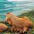 capivara