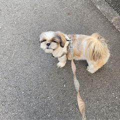 カナイワちゃんねる