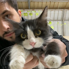 اقبال والقطط Ekbal & the cats