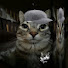 etDxNwnc8-c-channel-avatar-V1vid