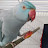 @Gabriel1234-q5g