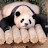 @Sharon-l7j4c