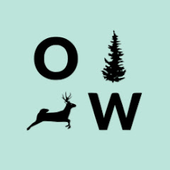 Open Woods