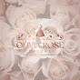 Olivia Rose Bridal Boutique logo