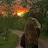 @Mariam_121