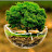 @chooqi7 Avatar
