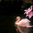 @ليلووووشششهه
