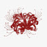 RkZ1OvE8OFE-channel-avatar-Not Iris