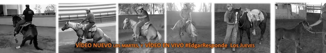 Horsemanship - Edgar De Alba Avatar channel YouTube 