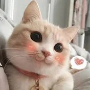 風のように