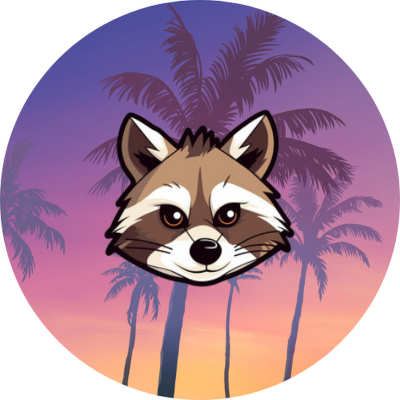 Racoon Gaming