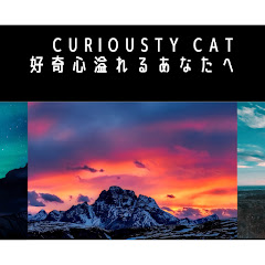 Curiosity Cat「好奇心溢れるあなたへ」