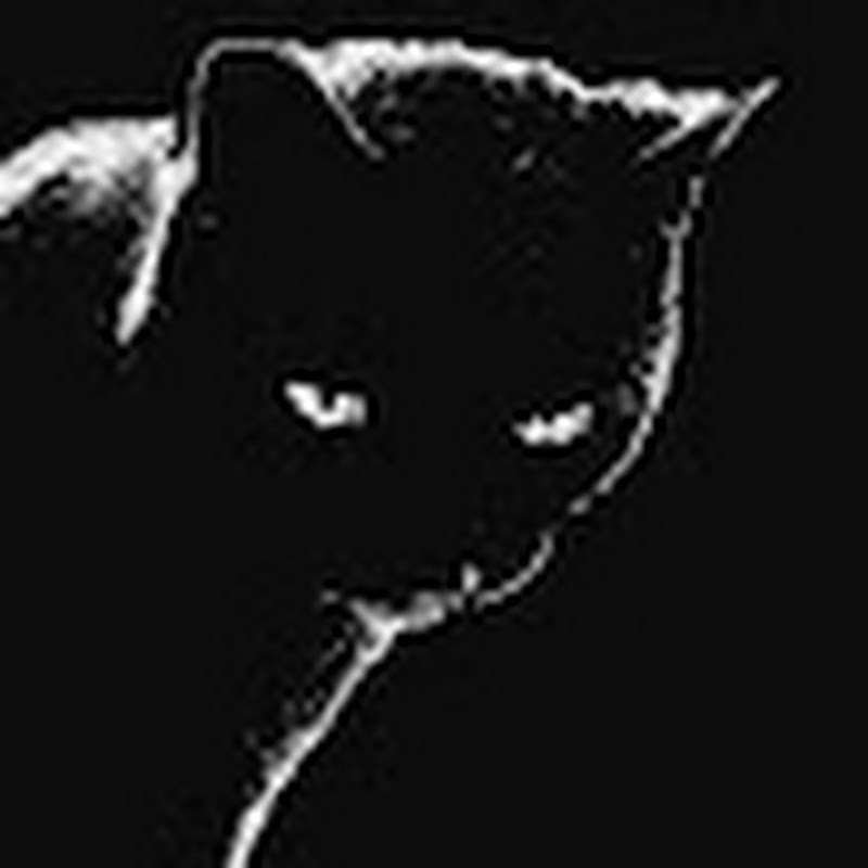 Hire spam bit — Gaming Hardware & PC Building YouTube creator for sponsorships