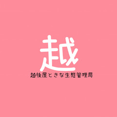 越後屋ときな生態管理局アイコン画像