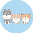 lEvTvD9sdxQ-channel-avatar-わんずたいむ -四季折々-