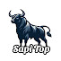 cHTszXfuXYo-channel-avatar-SAPI TOP