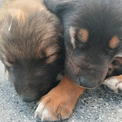 Akshat_gaming_studio