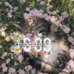  ⌗ Mxrkayla . ⛸️