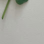 보리