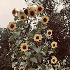 Greenpoint Gardens