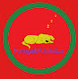 Portugal DREAMZzz logo