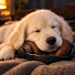 -aH1ApBhljM-channel-avatar-Warm Haven Music