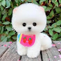 Feeding Teacup Puppy