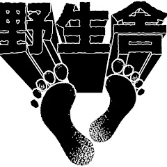 野生舎TVの画像