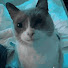 rTcaK67sJlw-channel-avatar-DiTi_D_Ace