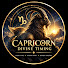 WDQFWOk-5e8-channel-avatar-Capricorn Divine Timing