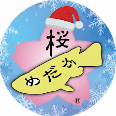 桜めだか / Sakura Medakaアイコン画像