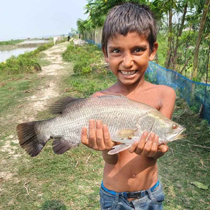 Flying fishing 