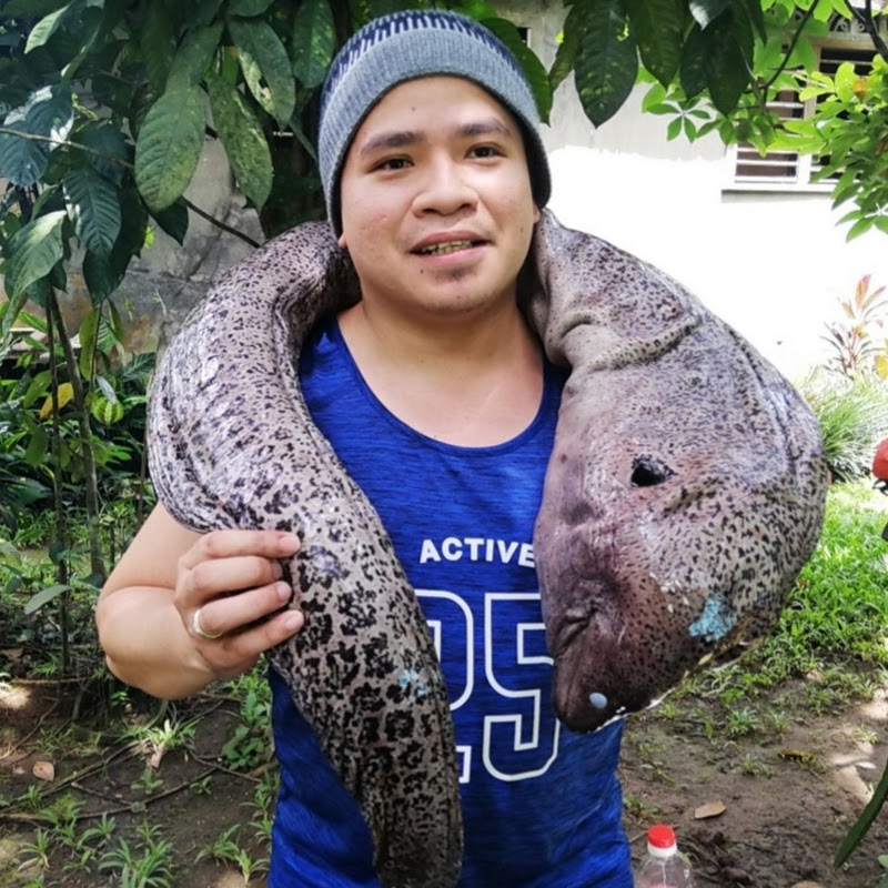 Mr Pitong Gatang 2.0