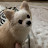 @mandu0528