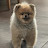 @user-rl9ps8qt1c