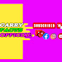 CARRY FACTS OFFICIAL logo