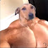 bWmBlIoJ9p0-channel-avatar-ElweboP