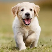 ハーモニー 感動