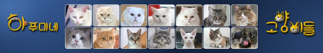 í•˜í‘¸ë¯¸ë„¤ ê³ ì–‘ì´ë“¤ [Hapumi's Cats] YouTube channel avatar