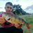 TIM FISH