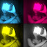 OSZNFg24K_4-channel-avatar-Shanni