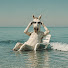 bxEV4shLi8A-channel-avatar-inawave