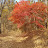 @사랑방-h5v