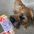 63Hhg3r5OyU-channel-avatar-One Knitter & Her Dog