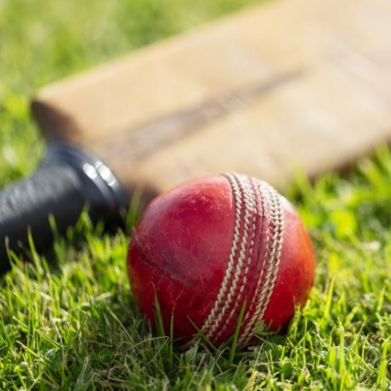 Cricket fheku